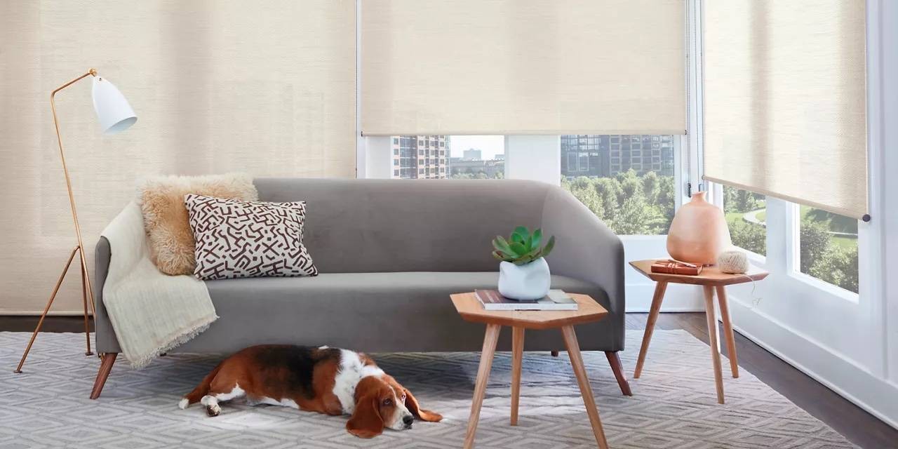 Alustra® Woven Textures® Roller Shades in a Modern Living Room near Redmond, OR