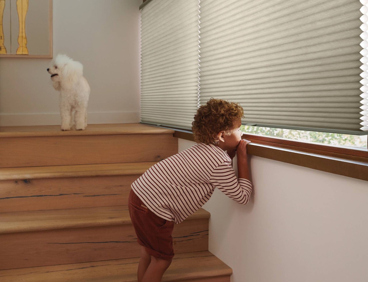 Hunter Douglas Duette® Cellular Shades near Redmond and Bend, Oregon (OR)